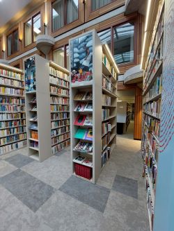 African_Library_displays